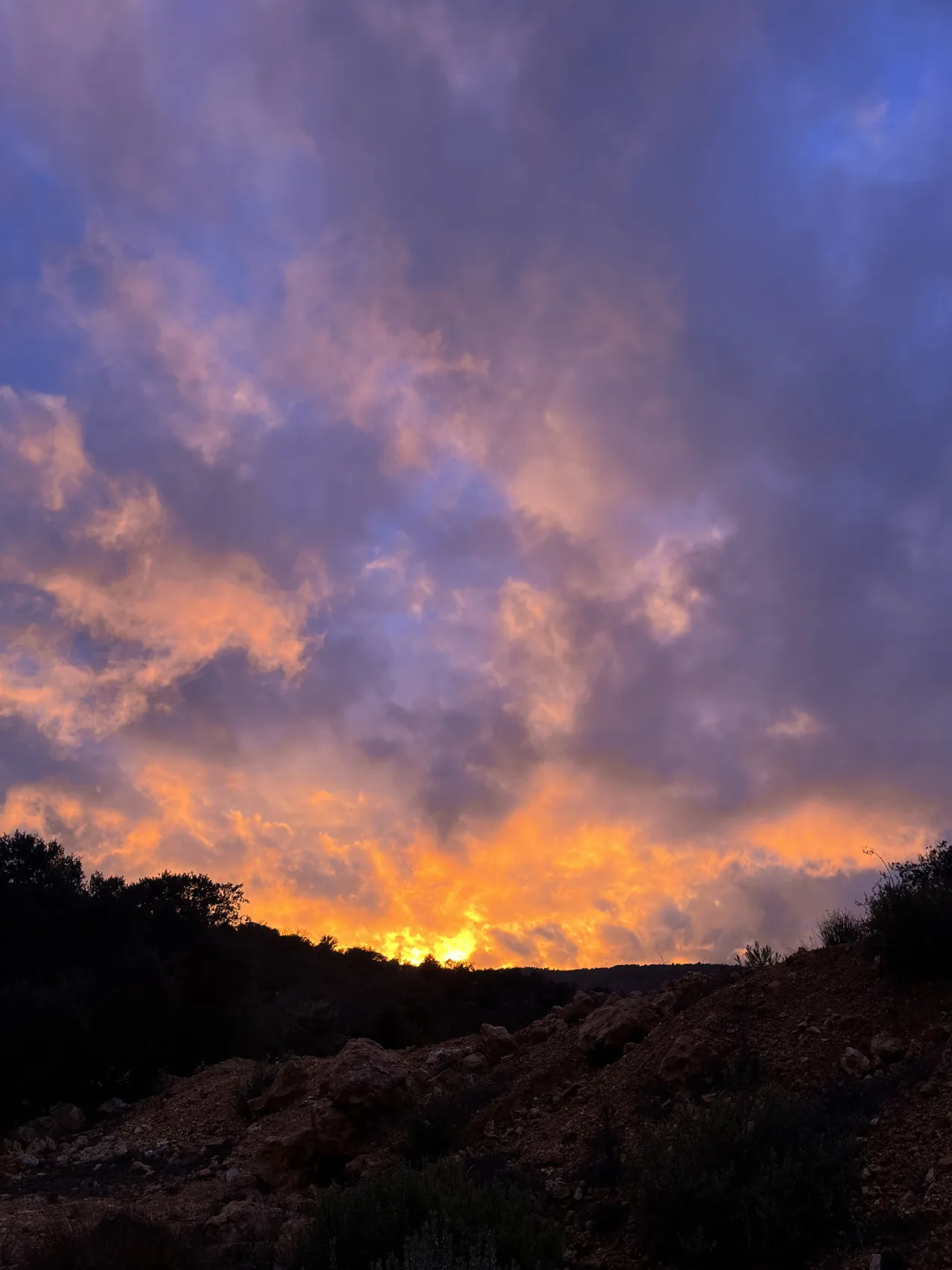 Atardecer en la naturaleza