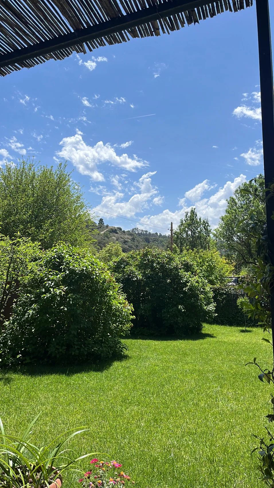 Jardín en Hontoba
